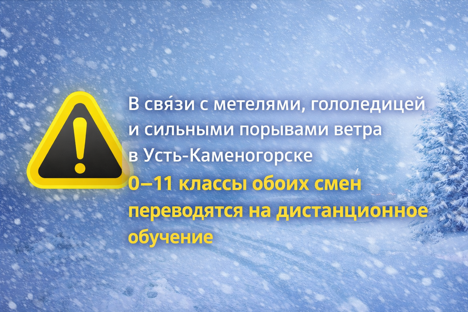 Баннер колледжа